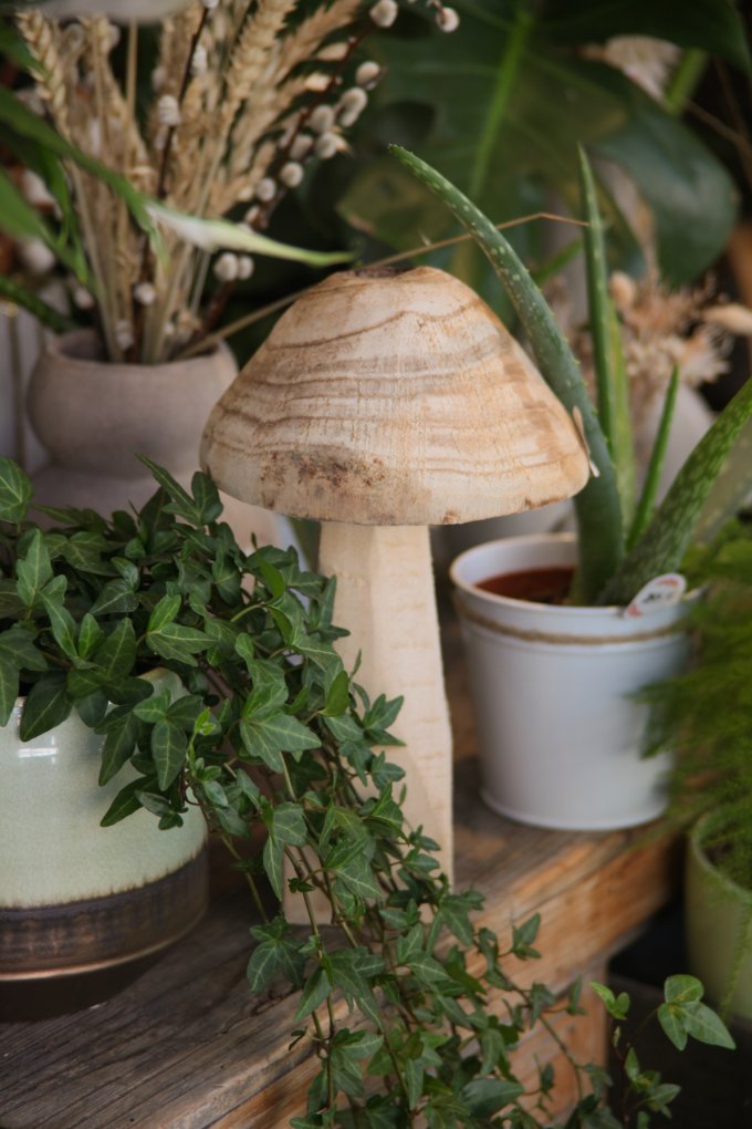 Un doux parfum d'automne photo 8